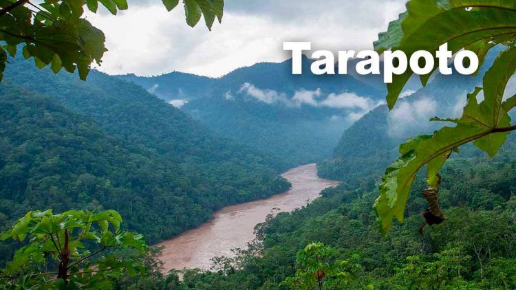 tarapoto