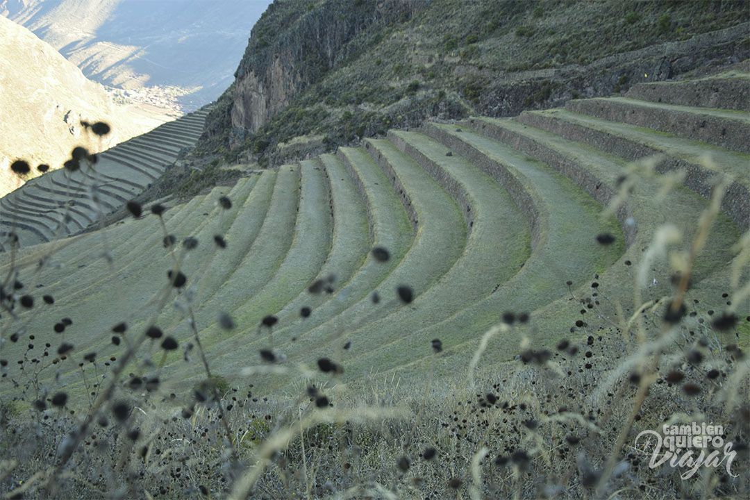 Pisac- cusco