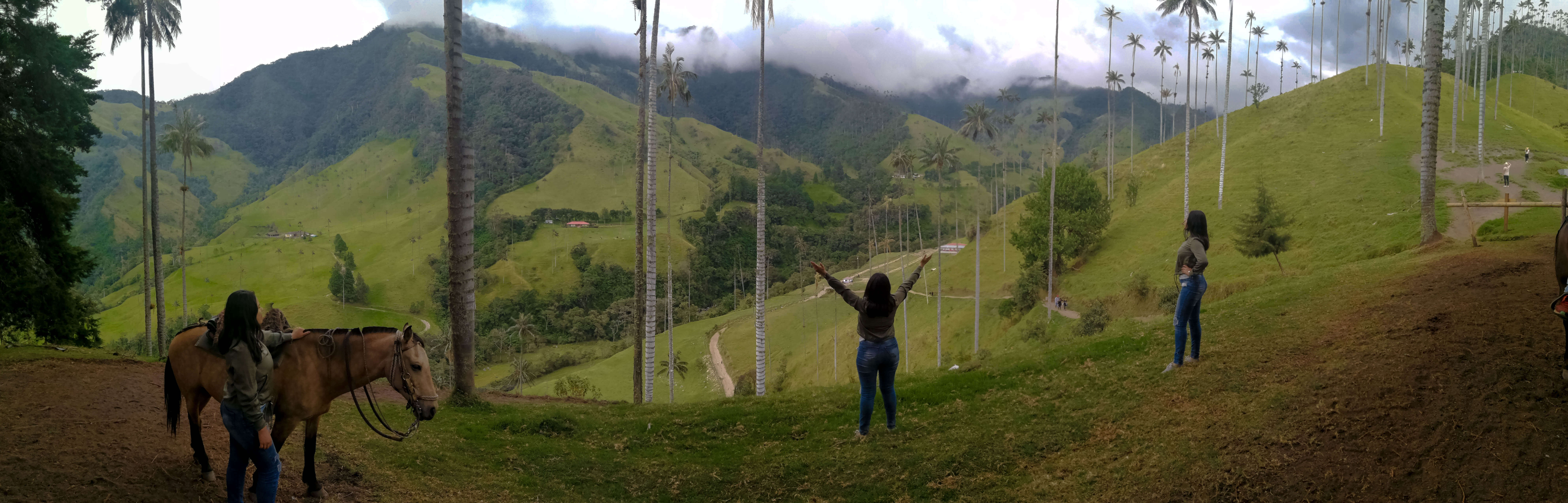 Valle del Cocora