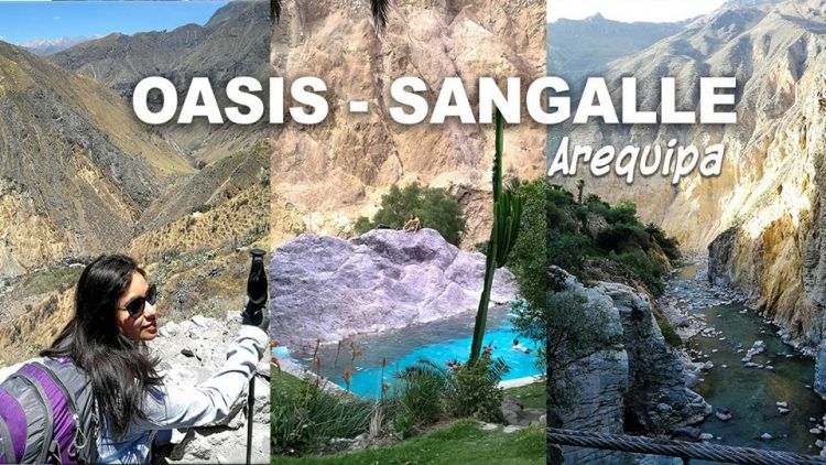 oasis sangalle colca arequipa