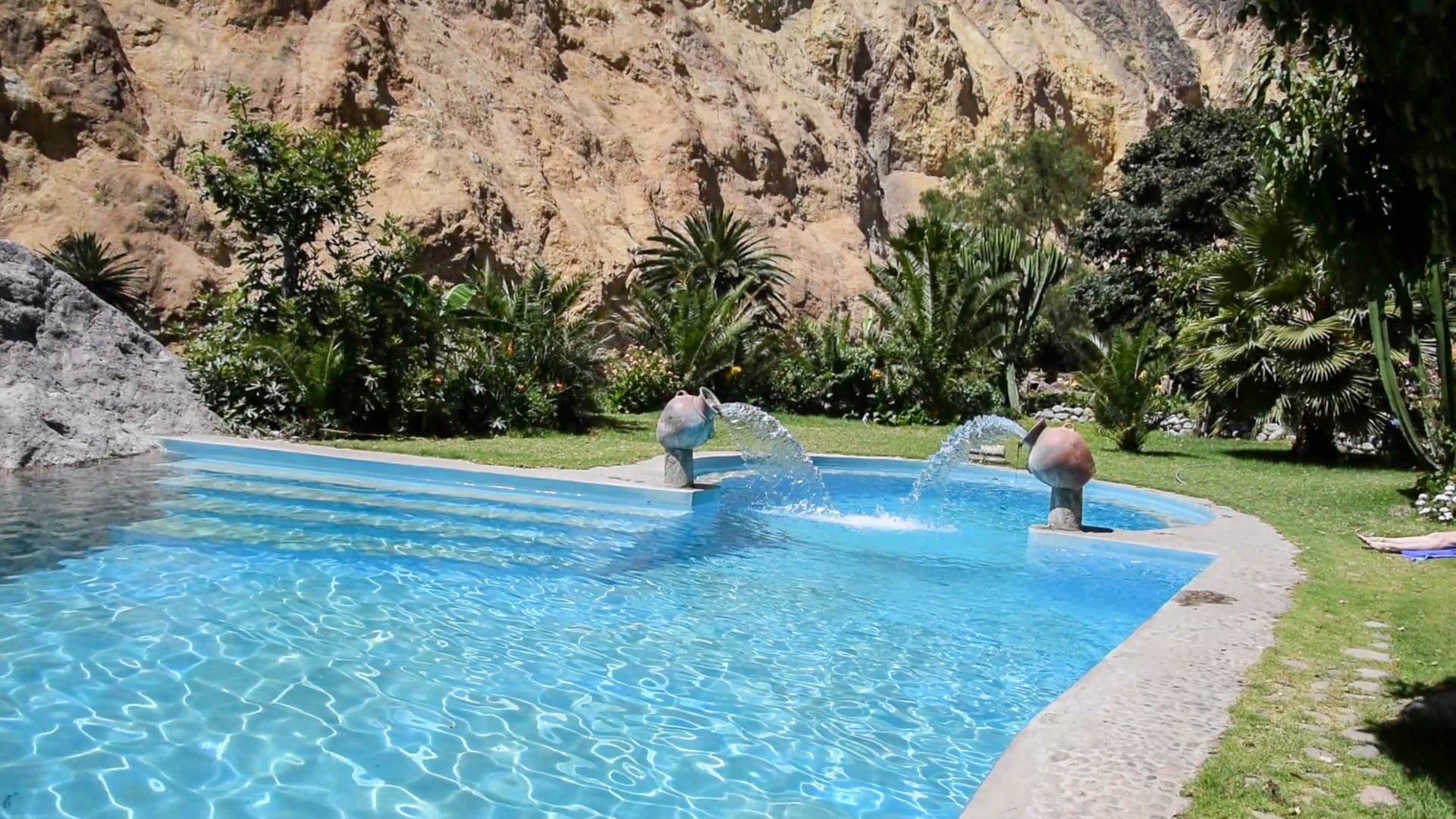 oasis las palmeras