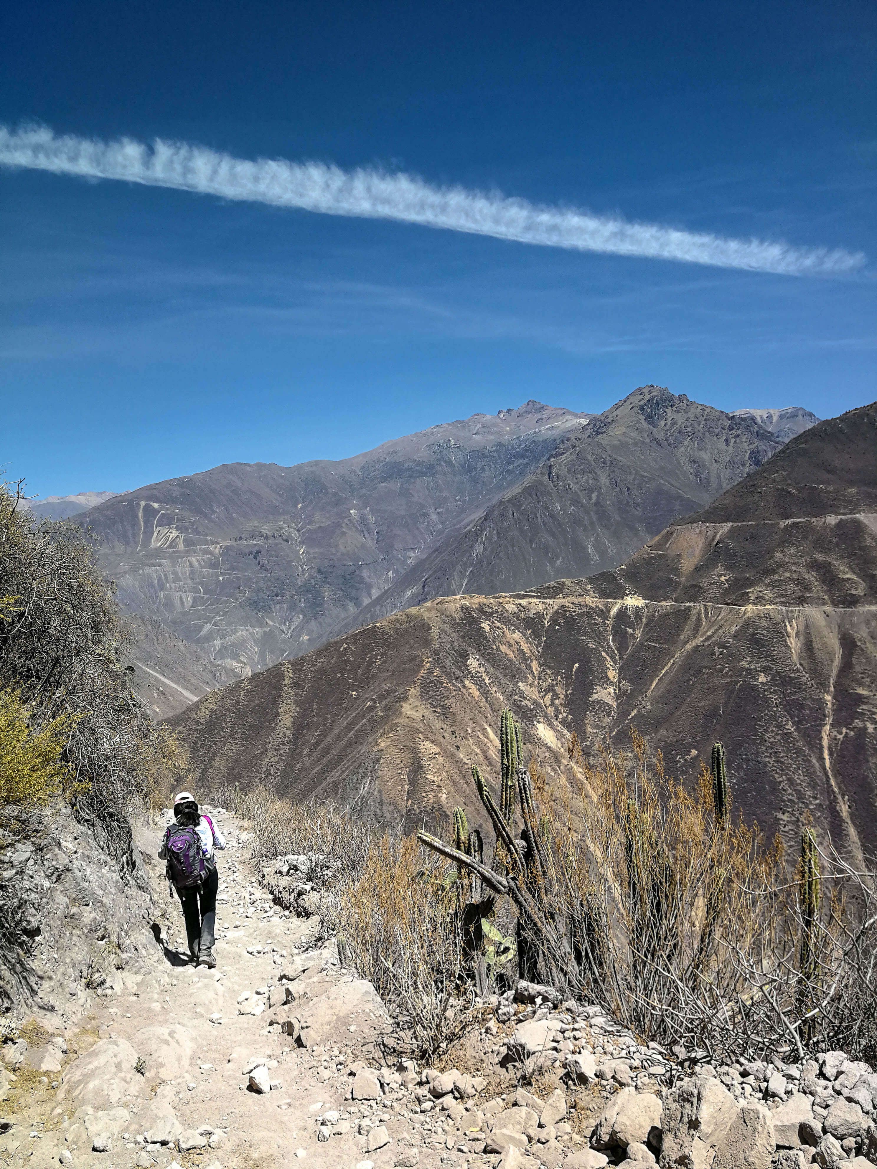 trekking oasis colca