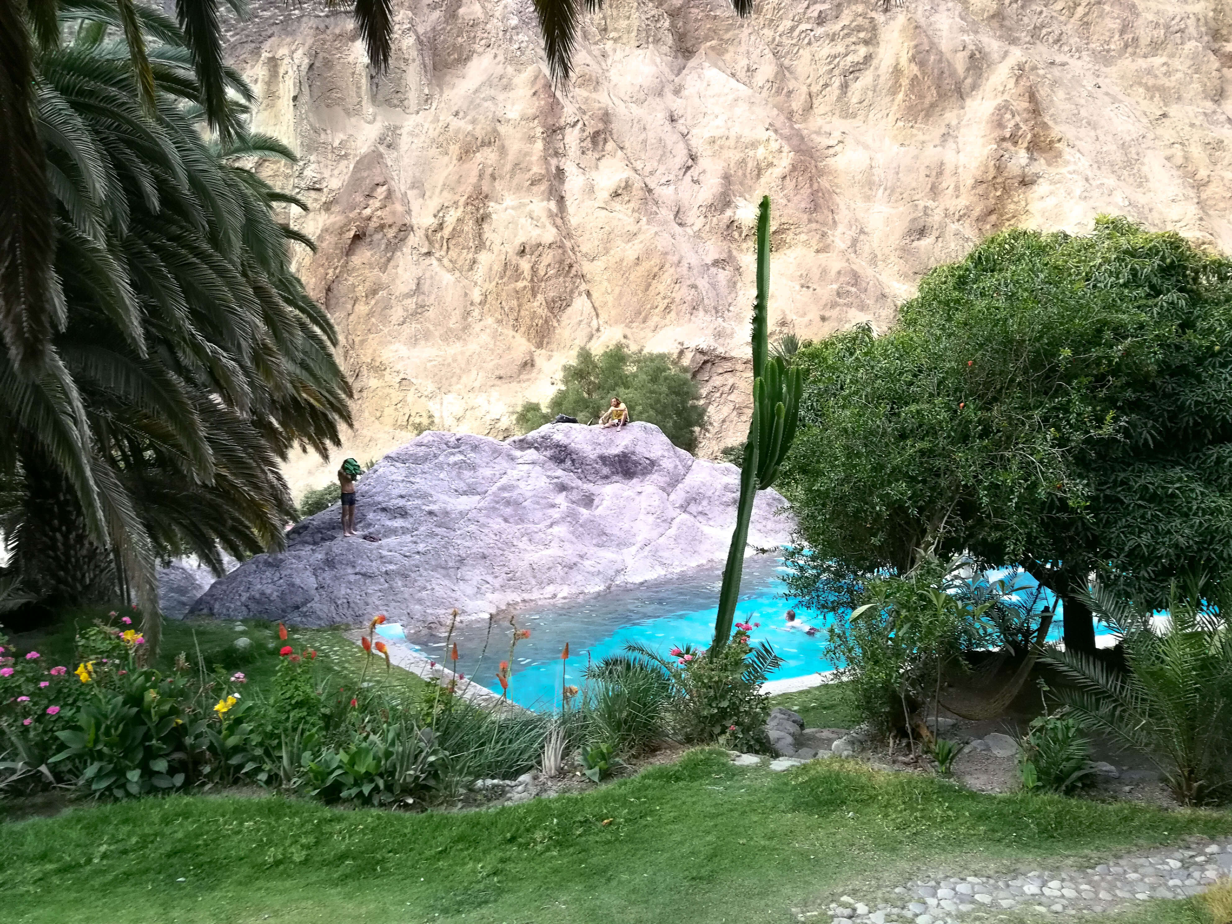 oasis las palmeras colca