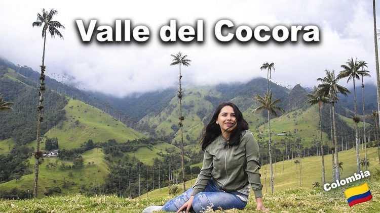 Valle del Cocora - Salento