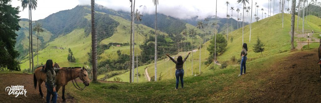 Valle del cocora