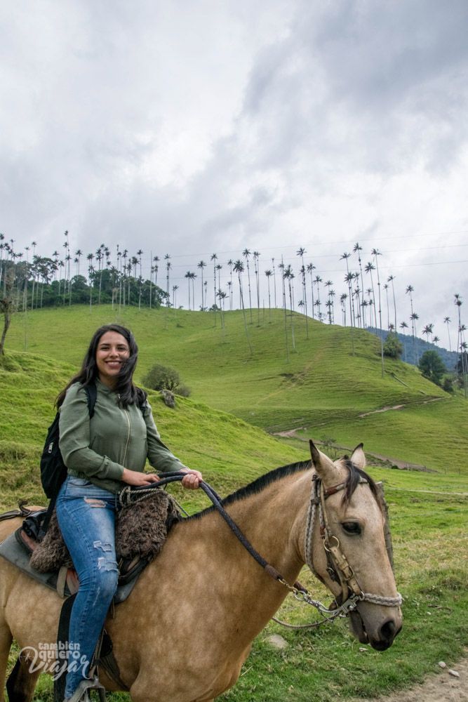 valle del cocora