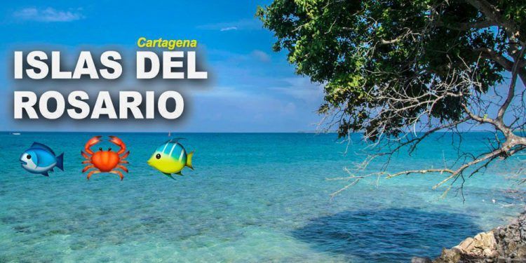 islas del rosario Cartagena
