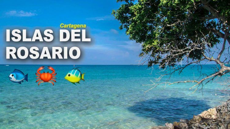 islas del rosario Cartagena