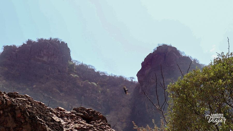 piedra cabeza de león