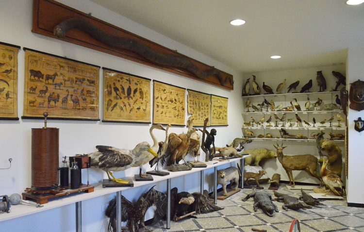 Museo Salesiano en Huancayo