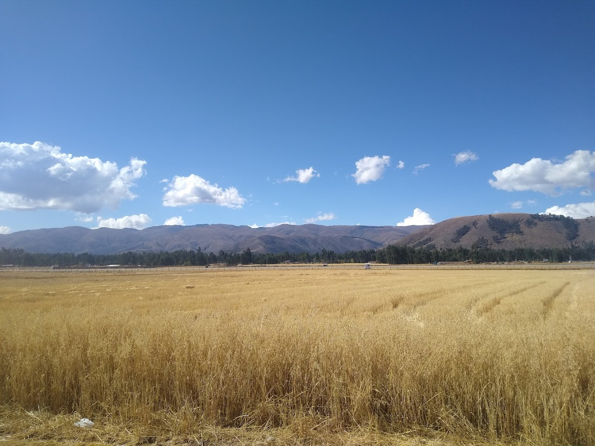 Camino a Huancayo